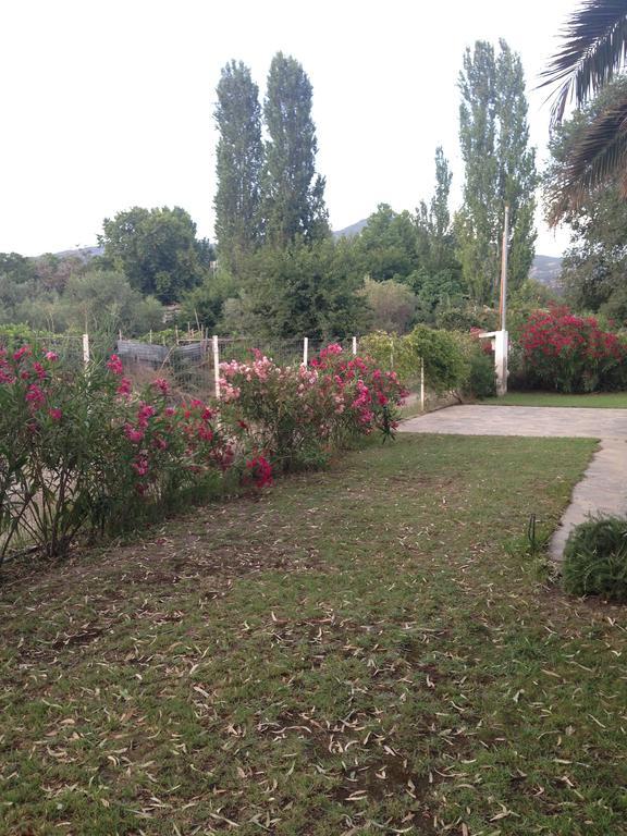 Villa Niki Νέος Μαρμαράς Εξωτερικό φωτογραφία